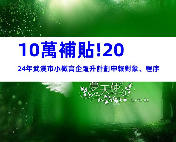 10萬補貼!2024年武漢市小微高企躍升計劃申報對象、程序
