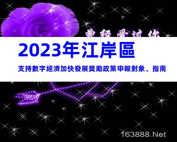 2023年江岸區支持數字經濟加快發展獎勵政策申報對象、指南