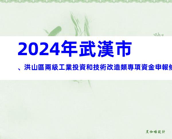 2024年武漢市、洪山區兩級工業投資和技術改造類專項資金申報條件、獎補、材料、時間