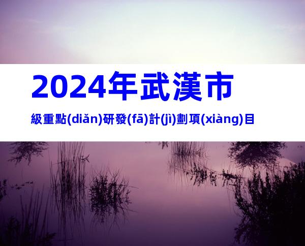 2024年武漢市級重點(diǎn)研發(fā)計(jì)劃項(xiàng)目建議征集要求、時(shí)間