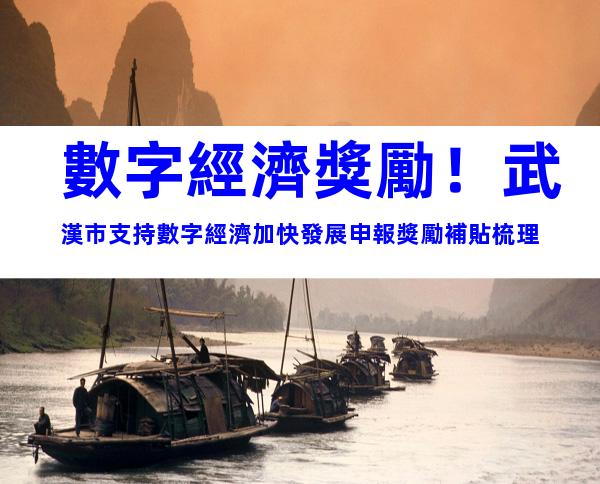 數字經濟獎勵！武漢市支持數字經濟加快發展申報獎勵補貼梳理