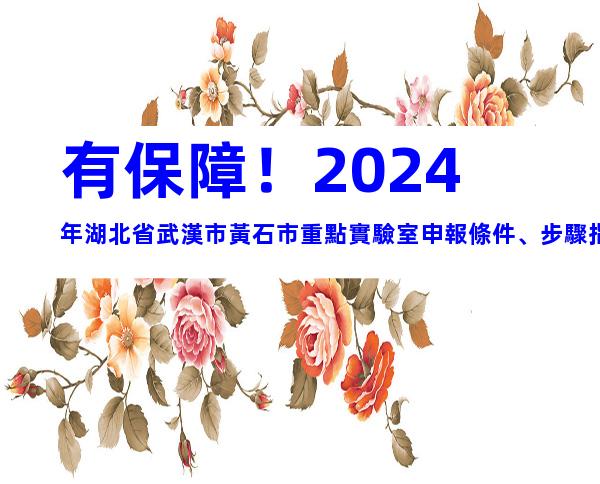 有保障！2024年湖北省武漢市黃石市重點實驗室申報條件、步驟指南