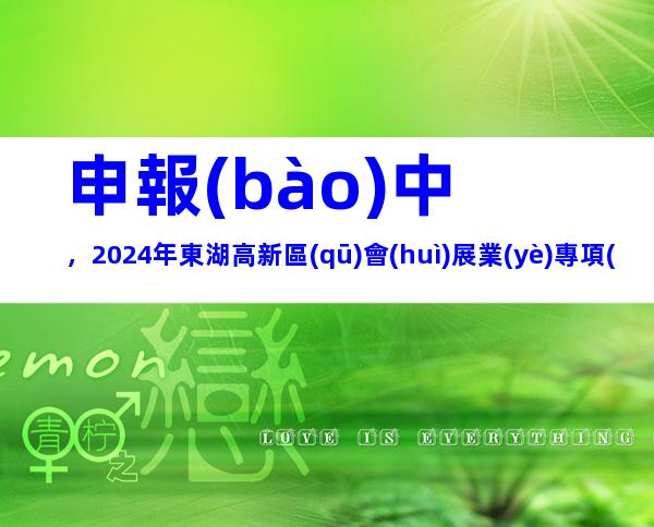 申報(bào)中，2024年東湖高新區(qū)會(huì)展業(yè)專項(xiàng)資金申報(bào)對(duì)象、條件